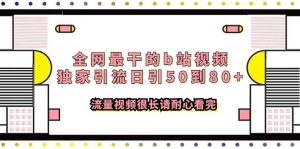全网最干的b站视频独家引流日引50到80+流量视频很长请耐心看完-天天有课网