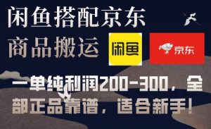闲鱼搭配京东备份库搬运，一单纯利润200-300，全部正品靠谱，适合新手！-天天有课网