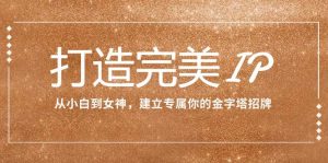 打造完美IP:从小白到女神,建立专属你的金字塔招牌(15节课)-天天有课网