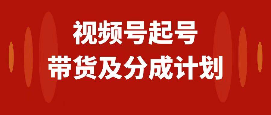 视频号快速起号，分成计划及带货，0-1起盘、运营、变现玩法，日入1000+-天天有课网
