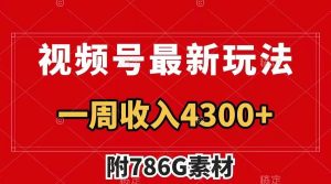 视频号最新玩法 广告收益翻倍 几分钟一个作品 一周变现4300+（附786G素材）-天天有课网