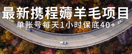 最新携程薅羊毛项目，单账号每天1小时保底收益40+，可矩阵操作-天天有课网