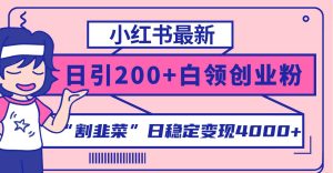小红书最新日引200+创业粉”割韭菜“日稳定变现4000+实操教程！-天天有课网
