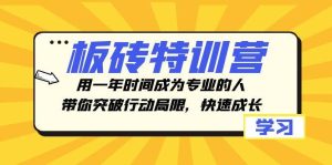 板砖特训营,用一年时间成为专业的人,带你突破行动局限,快速成长-天天有课网