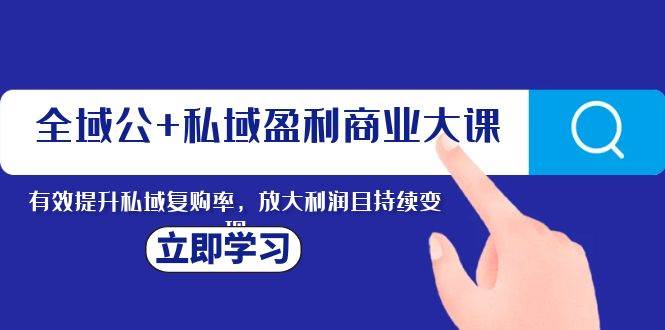 全域公+私域盈利商业大课，有效提升私域复购率，放大利润且持续变现-天天有课网