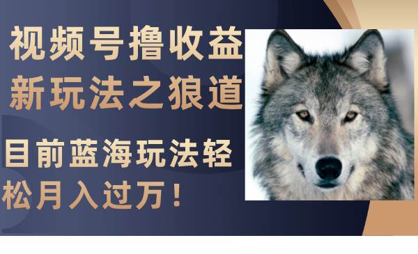 视频号撸收益新玩法之狼道，目前蓝海玩法轻松月入过万！-天天有课网