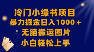 【全网首发】冷门小绿书暴力掘金日入1000＋，无脑搬运图片小白轻松上手-天天有课网