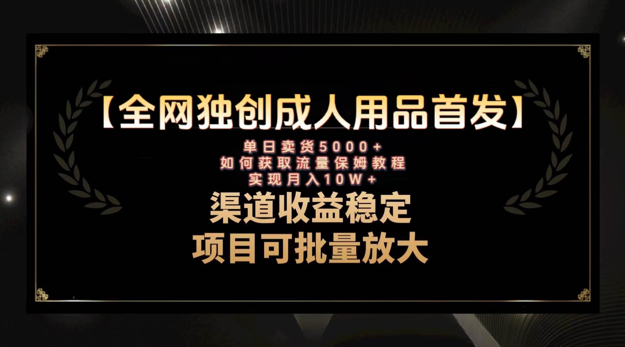 最新全网独创首发，成人用品赛道引流获客，月入10w保姆级教程-天天有课网