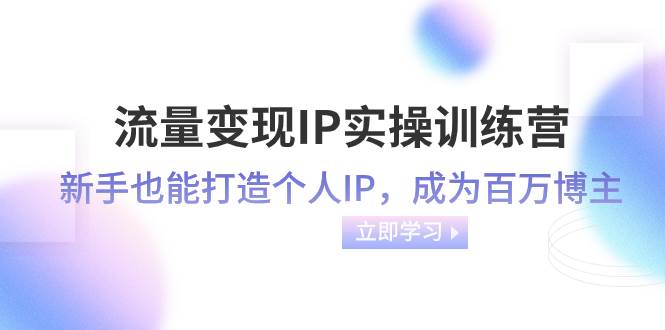 流量变现-IP实操训练营：新手也能打造个人IP，成为百万博主（46节课）-天天有课网