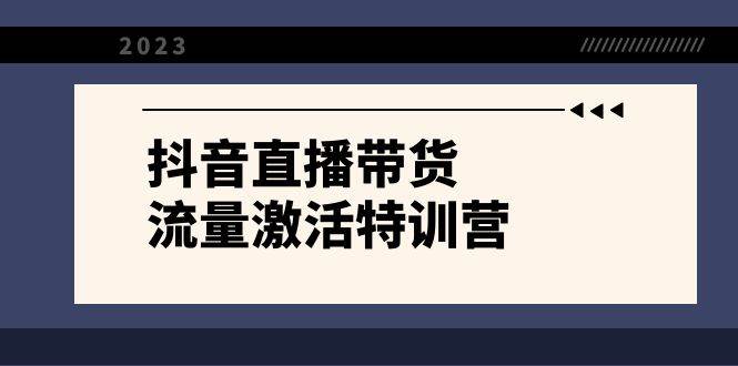 抖音直播带货-流量激活特训营，入行新手小白主播必学（21节课+资料）-天天有课网