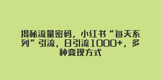 揭秘流量密码，小红书“每天系列”引流，日引流1000+，多种变现方式-天天有课网