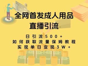 最新全网独创首发，成人用品直播引流获客暴力玩法，单日变现3w保姆级教程-天天有课网