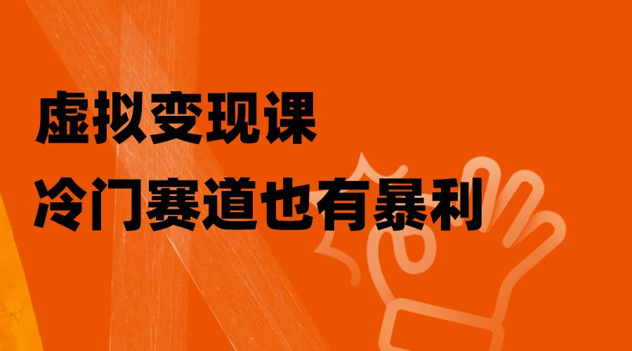 虚拟变现课，冷门赛道也有暴利，手把手教你玩转冷门私域-天天有课网