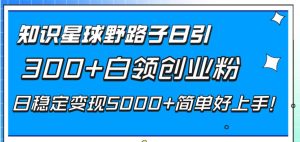 知识星球野路子日引300+白领创业粉，日稳定变现5000+简单好上手！-天天有课网