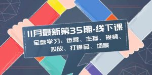 11月最新-35期-线下课：全盘学习：运营、主播、视频、投放、打爆品、场景-天天有课网