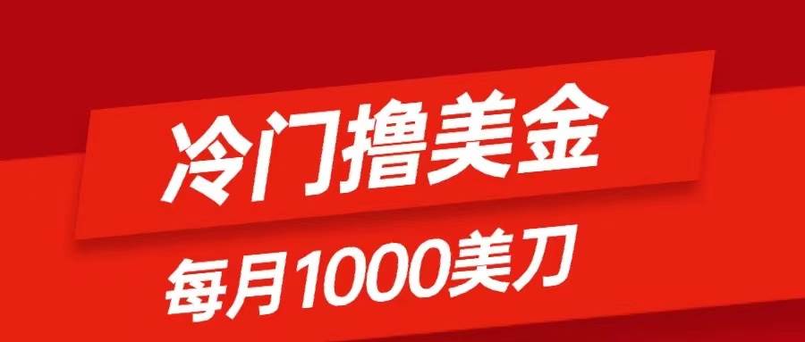 冷门撸美金项目：只需无脑发帖子，每月1000刀，小白轻松掌握-天天有课网