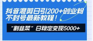 抖音混剪日引200+创业粉不封号最新教程!“割韭菜”日稳定变现5000+!-天天有课网