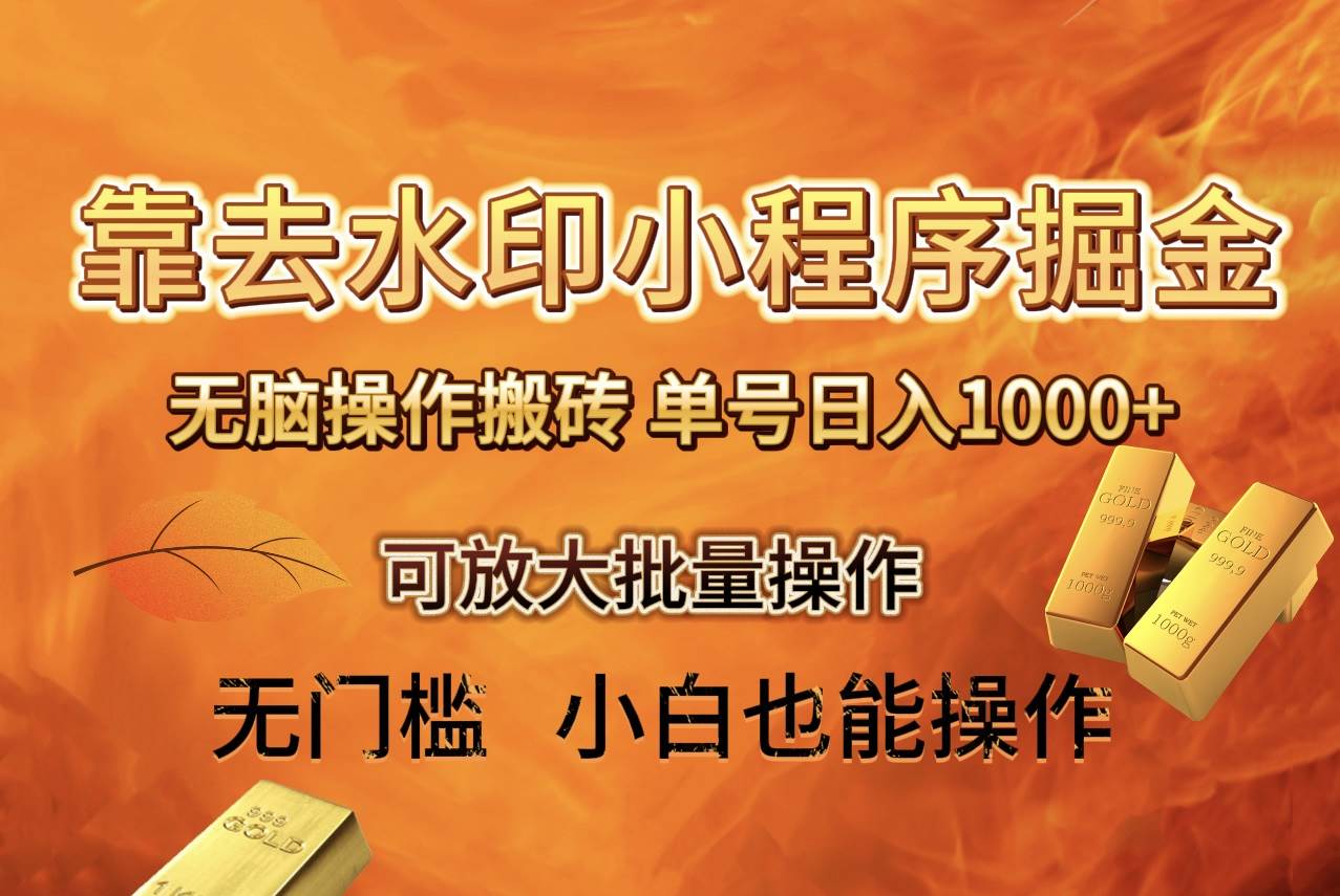 去水印小程序+拼多多 无脑搬砖 ，单号日入1000+ 保姆级教程 可放大批量操作-天天有课网