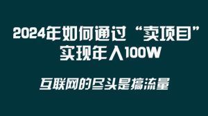 2024年如何通过“卖项目”实现年入100W-天天有课网