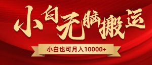 无脑搬运视频，全新平台独占玩法，一个账号每天1000+，多账号轻松扩张！-天天有课网