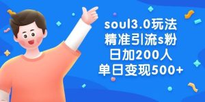 soul3.0玩法精准引流s粉,日加200人单日变现500+-天天有课网