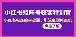 小红书-矩阵号获客特训营-第10期,小红书电商的带货课,引流变现新商机-天天有课网