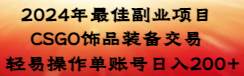 2024年最佳副业项目 CSGO饰品装备交易 轻易操作单账号日入200+-天天有课网