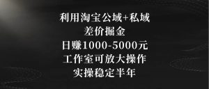 利用淘宝公域+私域差价掘金，日赚1000-5000元，工作室可放大操作，实操…-天天有课网