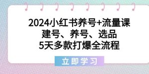 2024小红书养号+流量课：建号、养号、选品，5天多款打爆全流程-天天有课网