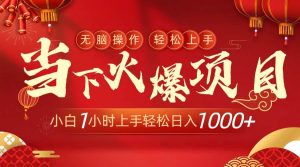 当下火爆项目，操作简单，小白仅需1小时轻松上手日入1000+-天天有课网