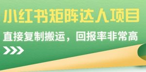 小红书矩阵达人项目,直接复制搬运,回报率非常高-天天有课网