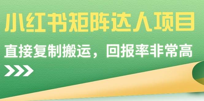 小红书矩阵达人项目，直接复制搬运，回报率非常高-天天有课网