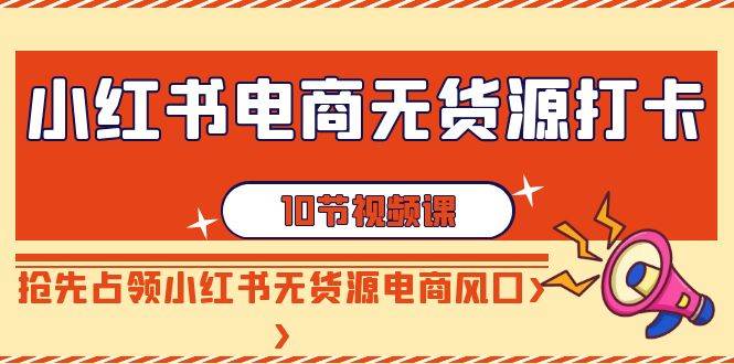小红书电商-无货源打卡，抢先占领小红书无货源电商风口（10节课）-天天有课网