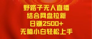 无人直播野路子结合网盘拉新,日赚2500+多平台变现,小白无脑轻松上手操作-天天有课网