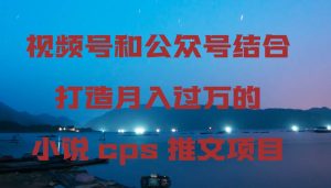 视频号和公众号结合打造月入过万的小说cps推文项目-天天有课网