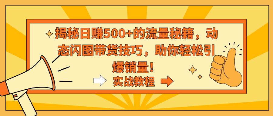 揭秘日赚500+的流量秘籍，动态闪图带货技巧，助你轻松引爆销量！-天天有课网