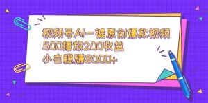 视频号AI一键原创爆款视频，500播放200收益，小白稳赚8000+-天天有课网