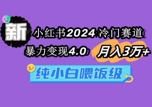 小红书2024冷门赛道 月入3万+ 暴力变现4.0 纯小白喂饭级-天天有课网