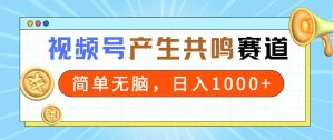 2024年视频号,产生共鸣赛道,简单无脑,一分钟一条视频,日入1000+-天天有课网