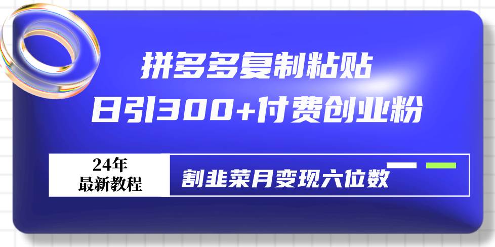 拼多多复制粘贴日引300+付费创业粉，割韭菜月变现六位数最新教程！-天天有课网