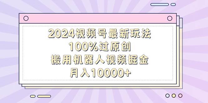 2024视频号最新玩法，100%过原创，搬用机器人视频掘金，月入10000+-天天有课网