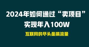 2024年如何通过“卖项目”实现年入100W-天天有课网