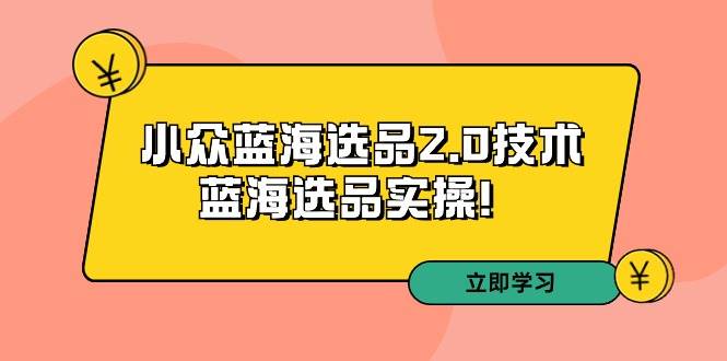拼多多培训第33期：小众蓝海选品2.0技术-蓝海选品实操！-天天有课网