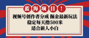 【蓝海项目】视频号创作者分成 掘金最新玩法 稳定每天撸500米 适合新人小白-天天有课网
