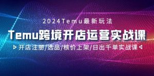 2024Temu跨境开店运营实战课，开店注册/选品/核价上架/日出千单实战课-天天有课网