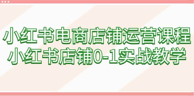 小红书电商店铺运营课程，小红书店铺0-1实战教学（60节课）-天天有课网