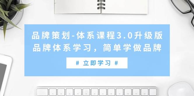 品牌策划-体系课程3.0升级版，品牌体系学习，简单学做品牌（高清无水印）-天天有课网