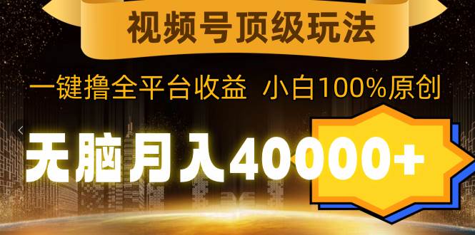 视频号顶级玩法，无脑月入40000+，一键撸全平台收益，纯小白也能100%原创-天天有课网