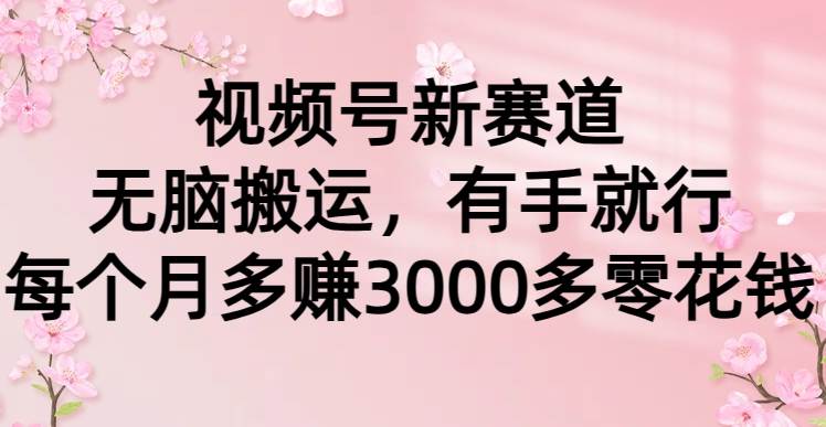 视频号新赛道，无脑搬运，有手就行，每个月多赚3000多零花钱-天天有课网