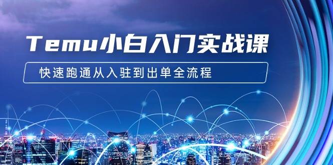 Temu小白入门实战课：跨境拼多多电商培训 快速跑通从入驻到出单全流程-12节-天天有课网